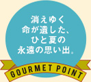 消えゆく命が遺した、ひと夏の永遠の思い出。