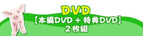 DVD2枚組